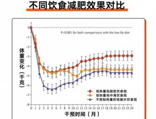 第十三天:腰部、腿部、腹肌